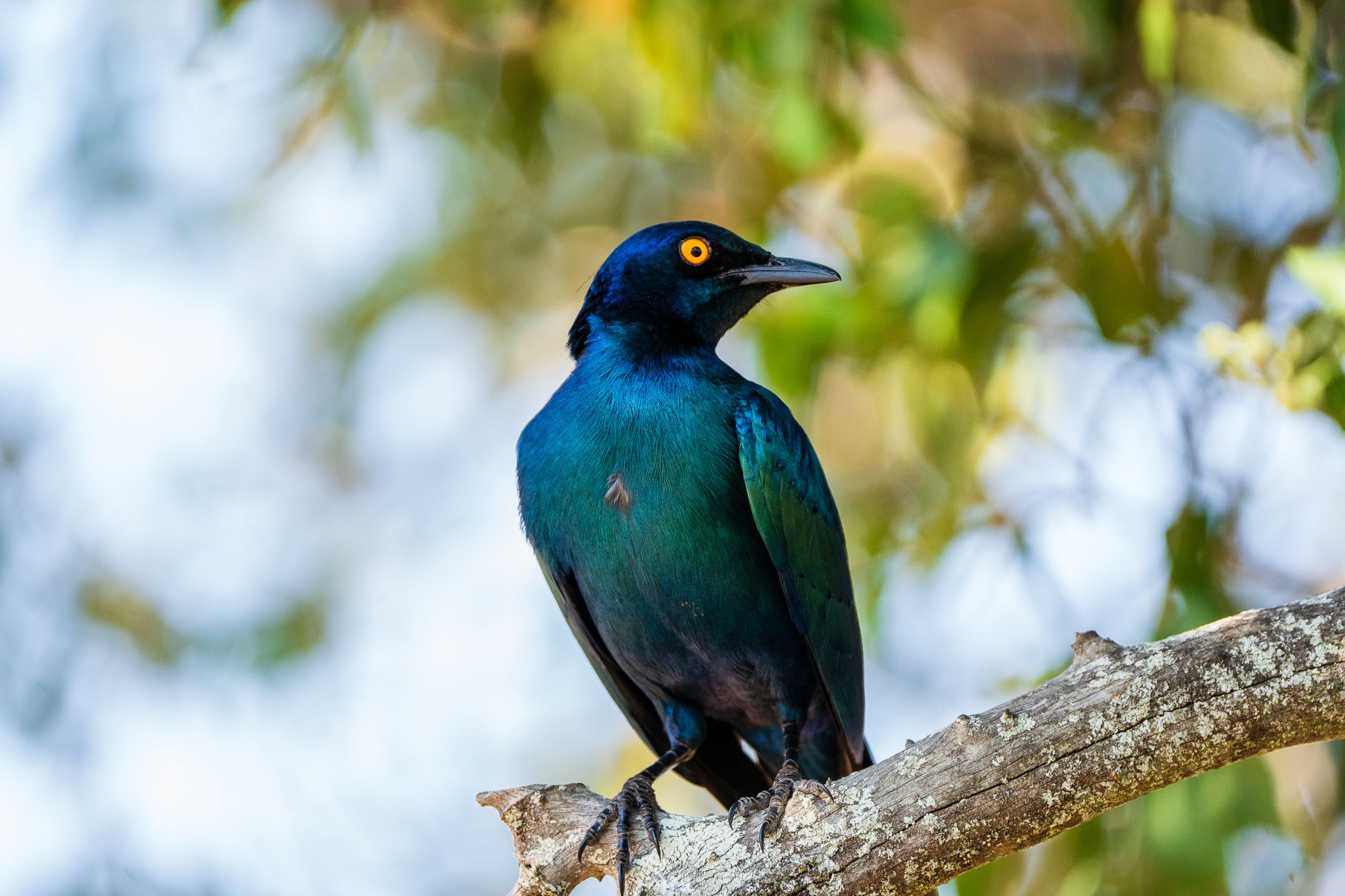 20230929 122424 Fotobuch Südafrika 04258